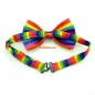 Preview: Rainbow Bow - for the gay gentleman with style
