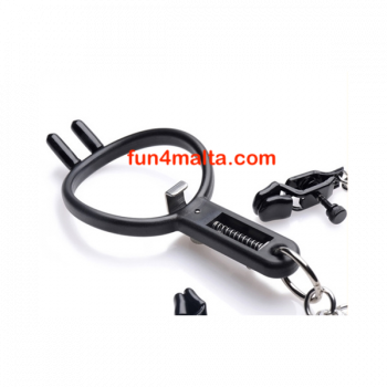 Degraded Mouth gag and nipple clamps