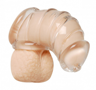 Detained Soft Body Chastity Belt, transparent