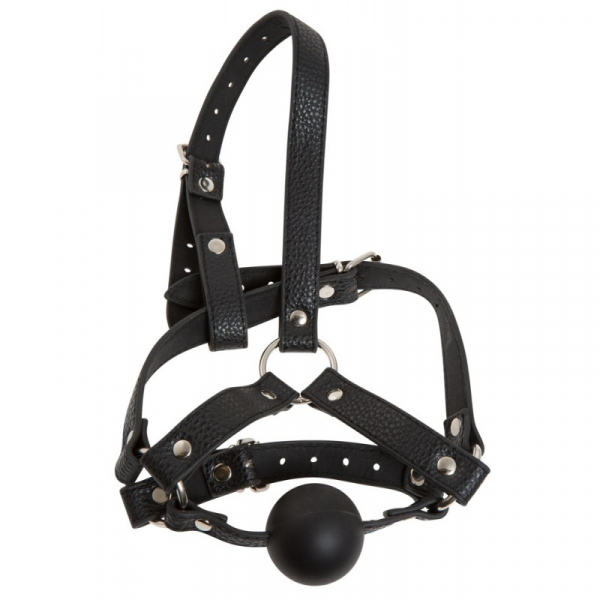 Face Harness