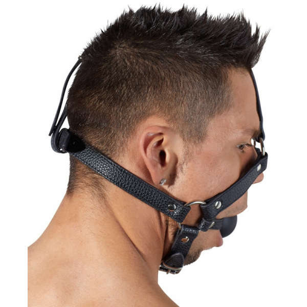 Face Harness