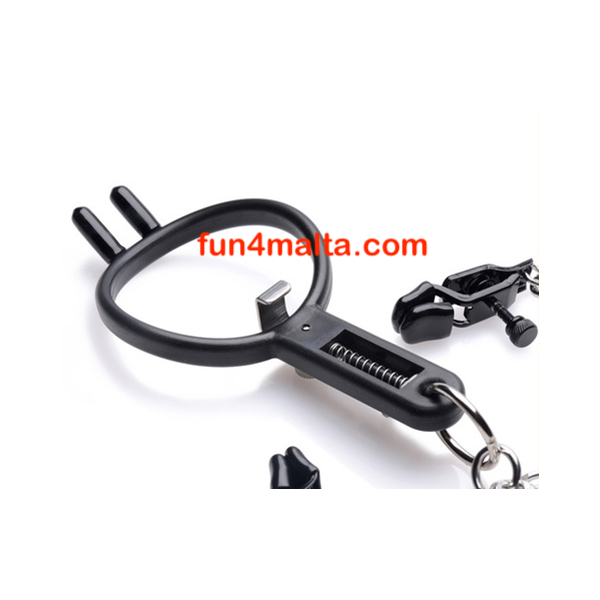 Degraded Mouth gag and nipple clamps