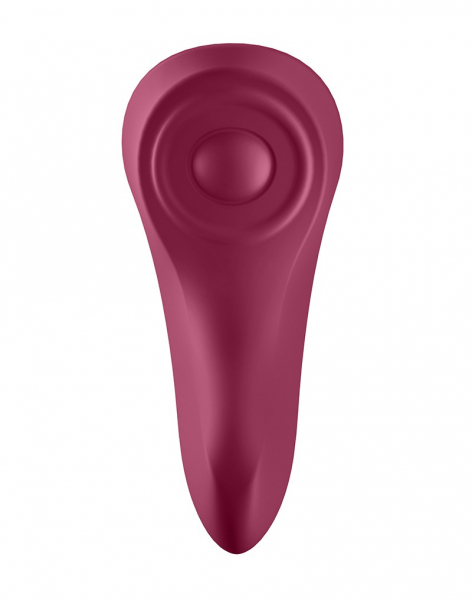 Satisfyer Sexy Secret Panty Vibrator