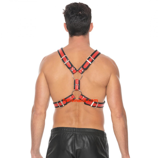 Scottish Leather Harness, red (Size S/M + L/XL)